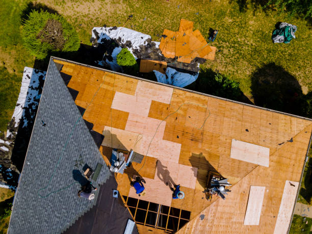 Quick and Trustworthy Emergency Roof Repair Services in Whiteville, TN